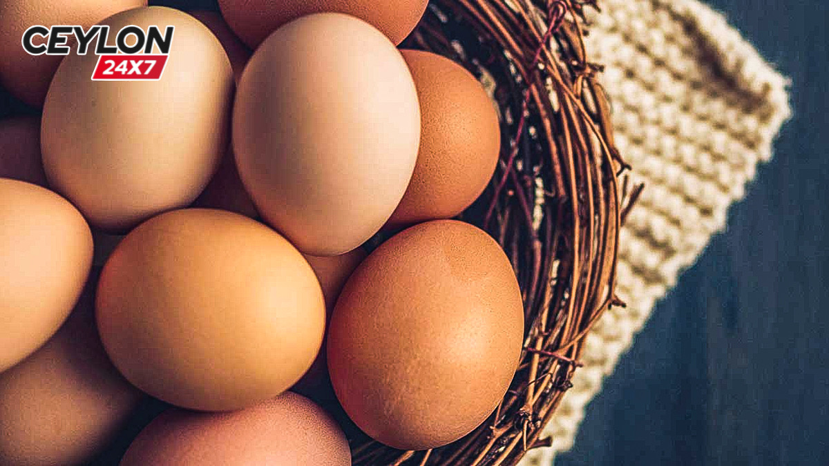 බිත්තර මිලට ඉස්සරහට වෙන වැඩේ දන්නවද ?