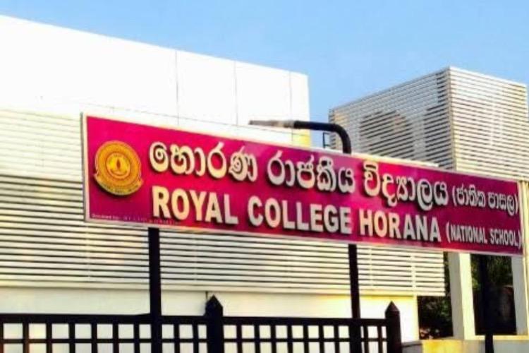 ලකුණු 188ක් ගත්ත ඒ පුංචි හපනා ගැන දැනගන්න කැමතියිද..? මෙන්න ඒ ගැන ඇසෙන කතාව..