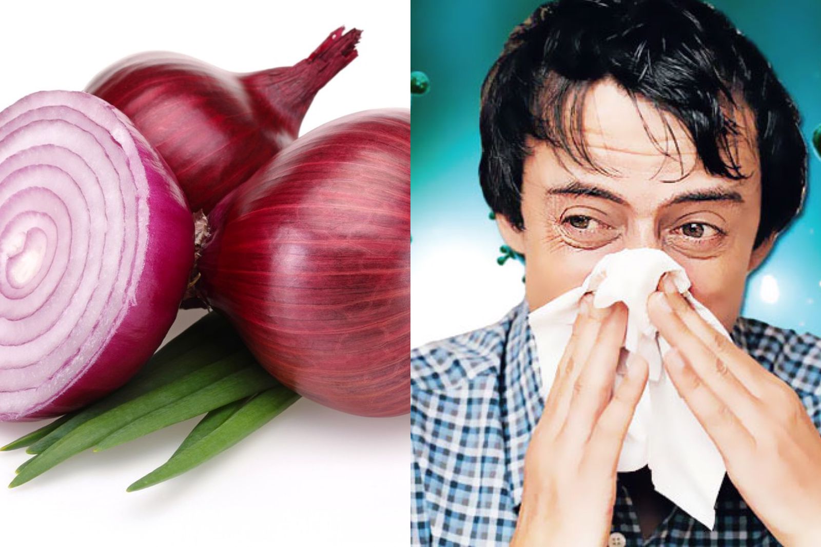 සෙම වැඩි වෙලාද ? ඔන්න එහෙනම් සෙම හොඳ කරන්න ගෙදර ඉදන්ම කරන්න පුළුවන් ලේසිම බෙහෙත් වට්ටෝරුවක්.