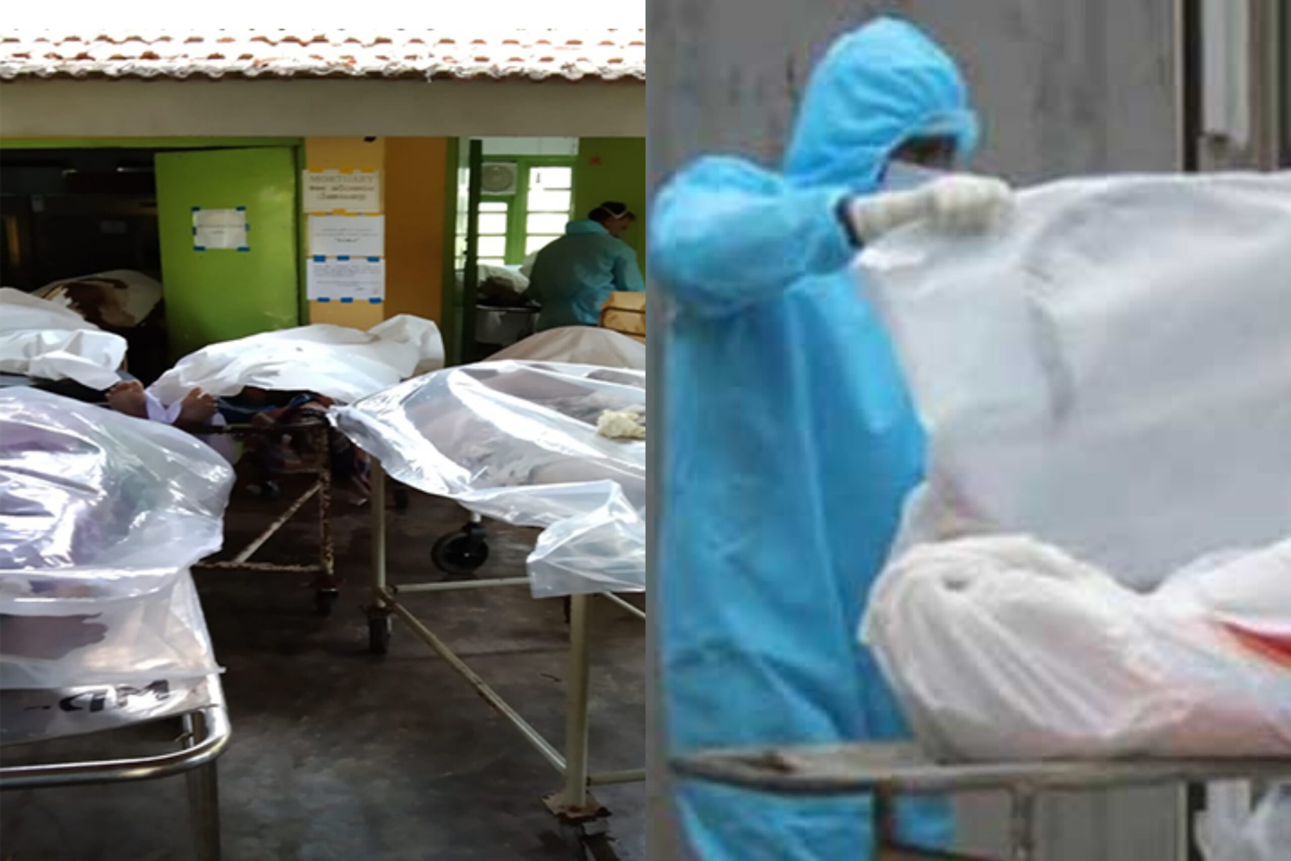 මිය ගිය කතකට මෝචරියේදී පණ එයි.  රෝහල එකම ගාලගෝට්ටියක්… සේවකයින් පණ කඩාගෙන දුවලා… – ප්‍රධාන රෝහලකින් ඇහෙන පුදුම හිතෙන කතාවක්…