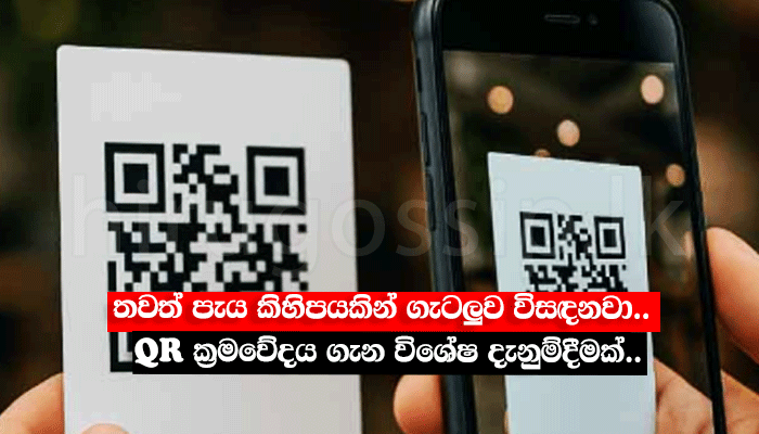තවත් පැය කිහිපයකින් ගැටලුව විසඳනවා.. QR ක්‍රමවේදය ගැන විශේෂ දැනුම්දීමක්..
