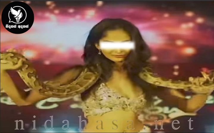 පිඹුරා සමඟ නැටූ අවුරුදු කුමරිය අත්අඩංගුවට ගැනීමට නියෝග.!