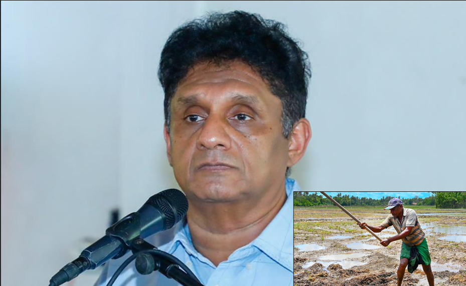 ගොවියාගේ පොහොර ප්රශ්නයට සජිත් රජයෙන් ඉක්මන් විසඳුම් ඉල්ලයි..