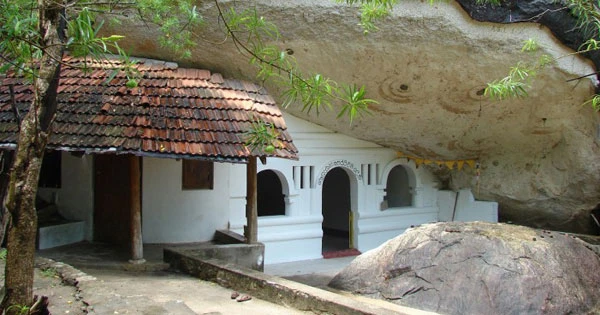 ලෙනක් තුළ සමාධි සුවයෙන් වැඩසිටි හිමිනමකගේ දිවිය රුදුරු වනසතෙකු උදුරා ගත් හැටි මෙන්න…